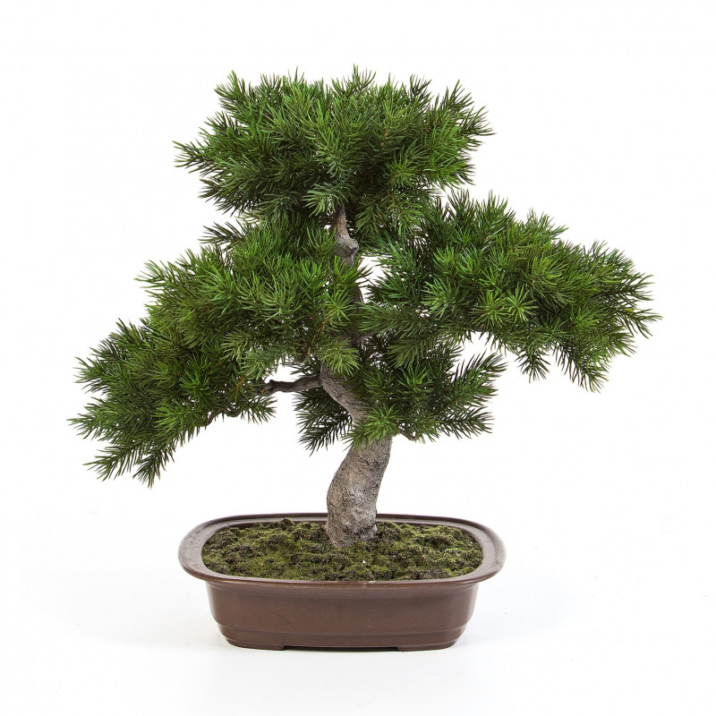 BONSAI Artificiel PIN 37 - Bonsais artificiels