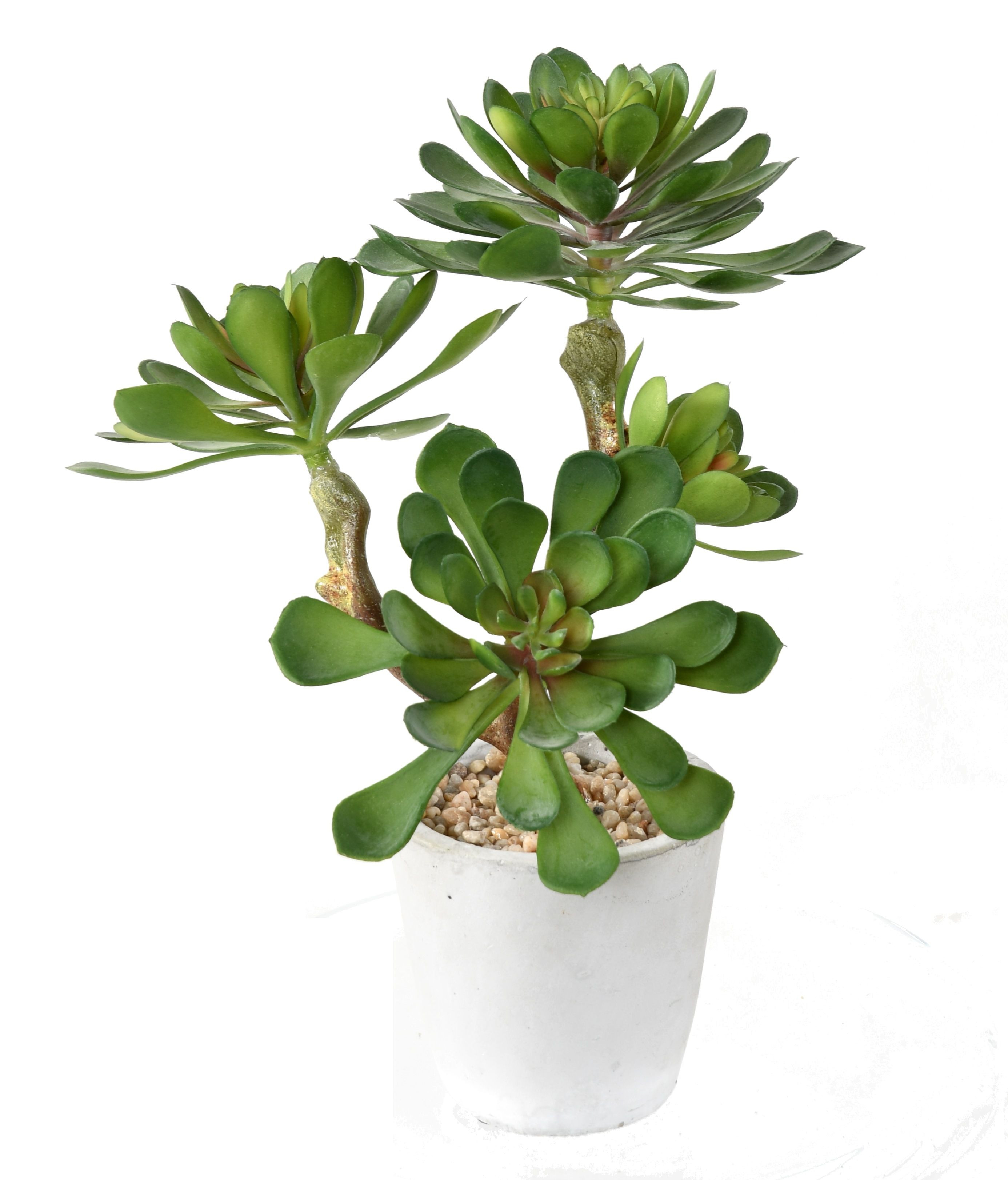 Un ensemble en pot Plantes succulentes artificielles Plantes