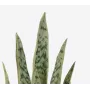 SANSEVIERIA artificiel 70 cm en pot