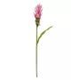 CURCUMA fleur artificiel 80 cm