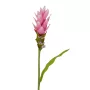 CURCUMA fleur artificiel 80 cm