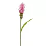 CURCUMA fleur artificiel 80 cm