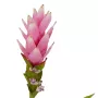 CURCUMA fleur artificiel 80 cm