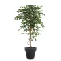 FICUS artificiel TRONC SIMPLE Grandes Feuilles  vert ou vert/crème 120 à 270 cm