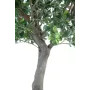 PITTOSPORUM artificiel arbre  260cm