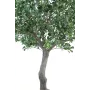 PITTOSPORUM artificiel arbre  260cm