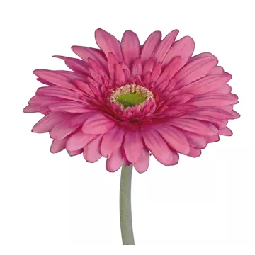 GERBERA artificiel 64 cm