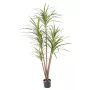 DRACENA artificiel (ou DRACAENA) MARG. 110 et 160cm