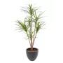 DRACENA artificiel (ou DRACAENA) MARG. 110 et 160cm