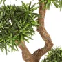 PODOCARPUS artificiel on crazy trunc . . . . 135 et 160cm