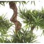 PODOCARPUS artificiel MOUNTAIN tree 110cm