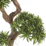 PODOCARPUS artificiel on crazy trunc . . . . 135 et 160cm