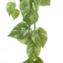 guirlande POTHOS artificiel 180 cm