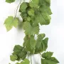 Guirlande FEUILLE DE VIGNE artificielle 180 cm