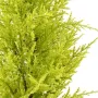 CYPRES artificiel MINI JAUNE VERT  55cm ( Juniperus)