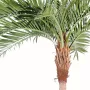 PALMIER artificiel Coconut courbe new 270 et 400 cm