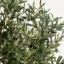 OLIVIER artificiel NEW tronc noueux (olive noire)