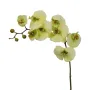 ORCHIDEE phalaenopsis artificielle verte 100 cm