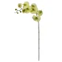 ORCHIDEE phalaenopsis artificielle verte 100 cm