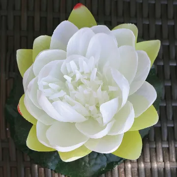 Nénuphar flottant diamètre blanc 17 cm