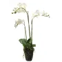 composition Phalaenopsis ORCHIDEE artificielle 80 cm