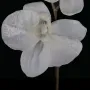 orchidée-phalaenopsis-artificielle-givrée-72-cm