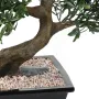 BONSAI artificiel SAULE noire ou BLACK WILLOW 50 cm