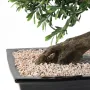 BONSAI artificiel SAULE noire ou BLACK WILLOW 50 cm