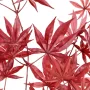branche artificielle ERABLE 70 cm rouge automne (aralia)