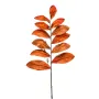 branche de SCEAU DE SALOMON artificelle 75 cm orange