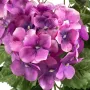 HORTENSIA artificiel 38 cm