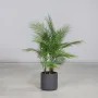 PALMIER artificiel ARECA baby 95 cm en pot déco