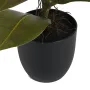 FICUS artificiel ELASTICA ou caoutchouc 44 cm