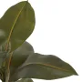 FICUS artificiel ELASTICA ou caoutchouc 44 cm