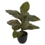 FICUS artificiel ELASTICA ou caoutchouc 44 cm