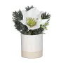 composition Hellebore, sapin et baies artificielle en pot 14 cm