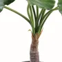 ALOCASIA CALIDORA  artificiel  80cm  ANTI FEU