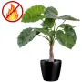 ALOCASIA CALIDORA  artificiel  80cm  ANTI FEU