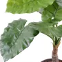 ALOCASIA CALIDORA  artificiel  80cm  ANTI FEU