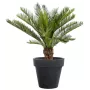 CYCAS artificiel TRONC 90 cm ANTI FEU