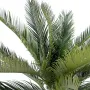 CYCAS artificiel TRONC 90 cm ANTI FEU