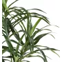 DRACENA artificiel (ou DRACAENA) ANITA 45 cm ANTI FEU