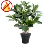 FICUS artificiel ELASTICA buisson ou caoutchouc 90 cm ANTI FEU