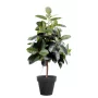 FICUS artificiel ELASTICA ou caoutchouc 150 cm ANTI FEU