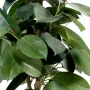 FICUS artificiel ELASTICA ou caoutchouc 150 cm ANTI FEU