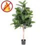 FICUS artificiel ELASTICA ou caoutchouc 150 cm ANTI FEU