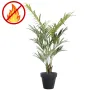 KENTIA artificiel 150 ou 180 cm ANTI FEU