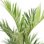 KENTIA artificiel ROYAL 180 cm ANTI FEU