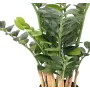 ZAMIA artificiel ou Zamioculcas 60 ou 90 cm ANTI FEU