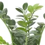 ZAMIA artificiel ou Zamioculcas 60 ou 90 cm ANTI FEU